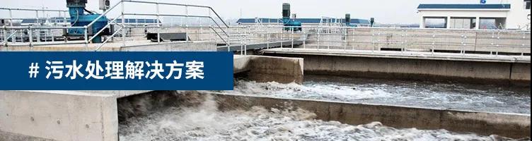 1618882816666038.jpg 3.jpg