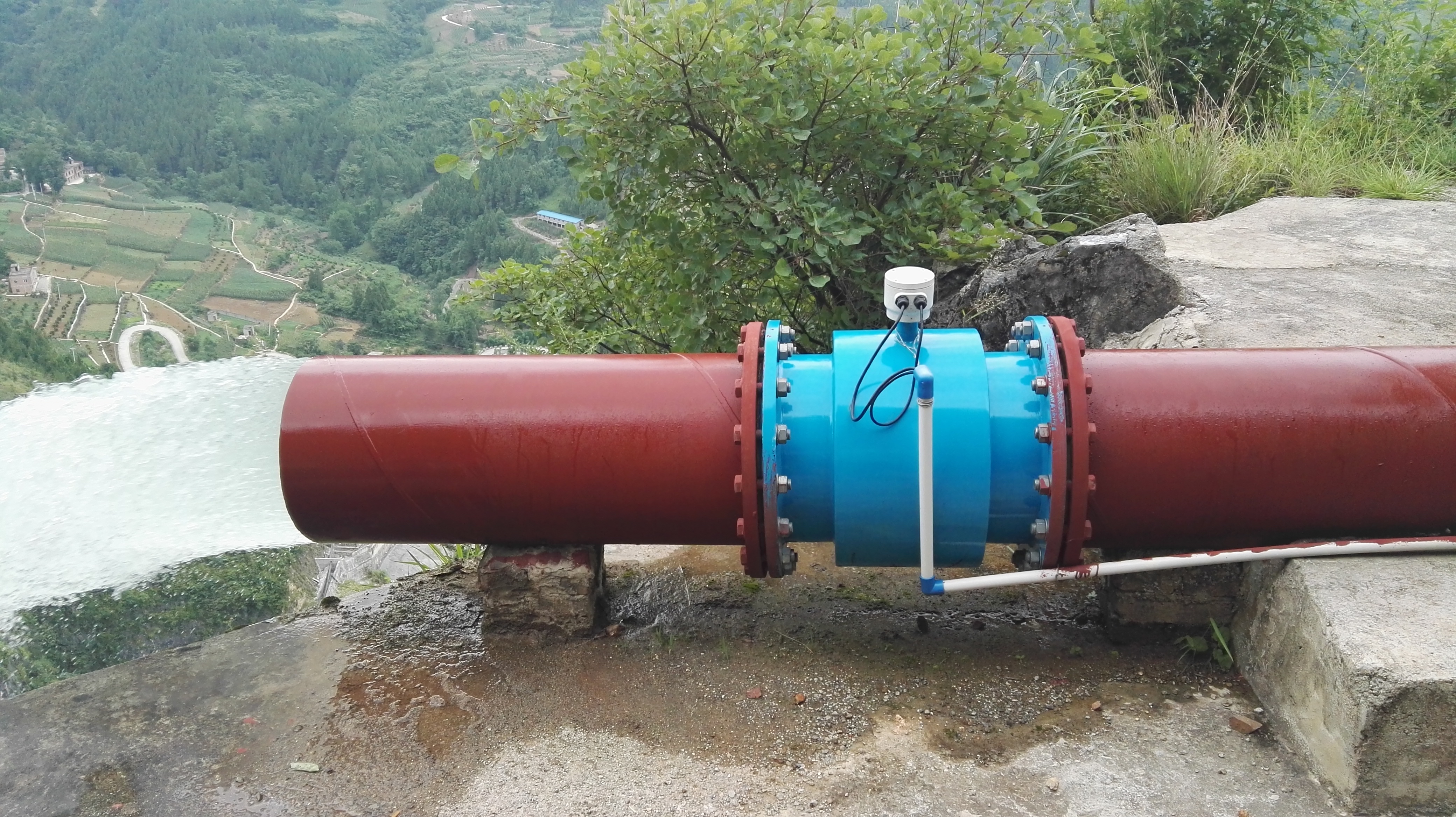 1648108556499434.jpg 1648108556499434.jpg