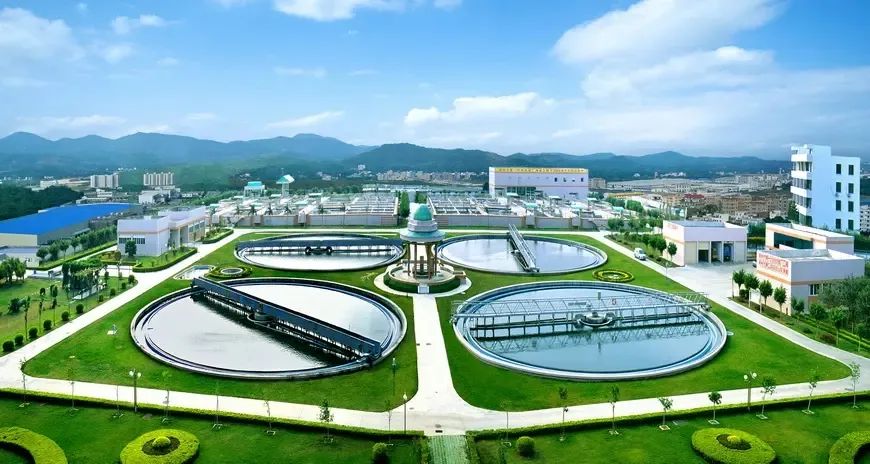 1650017676203799.jpeg 1650017676203799.jpeg