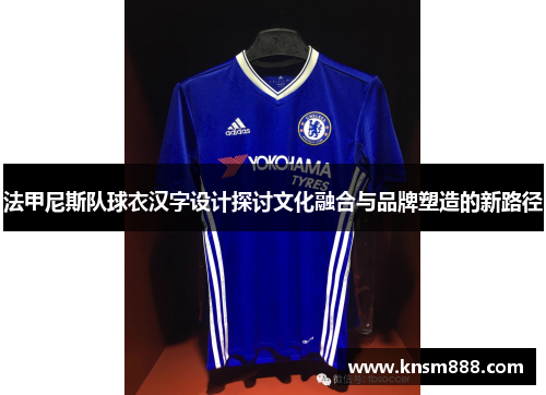 法甲尼斯队球衣汉字设计探讨文化融合与品牌塑造的新路径
