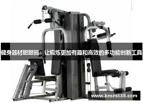 健身器材甜甜圈：让锻炼更加有趣和高效的多功能创新工具
