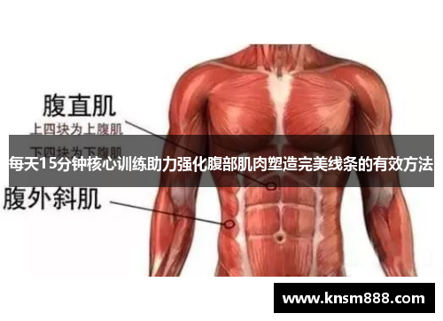 每天15分钟核心训练助力强化腹部肌肉塑造完美线条的有效方法