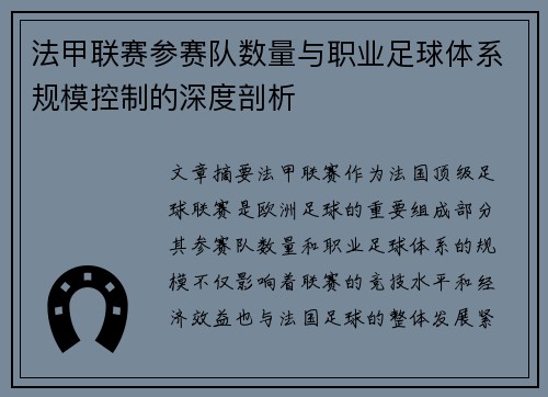 法甲联赛参赛队数量与职业足球体系规模控制的深度剖析